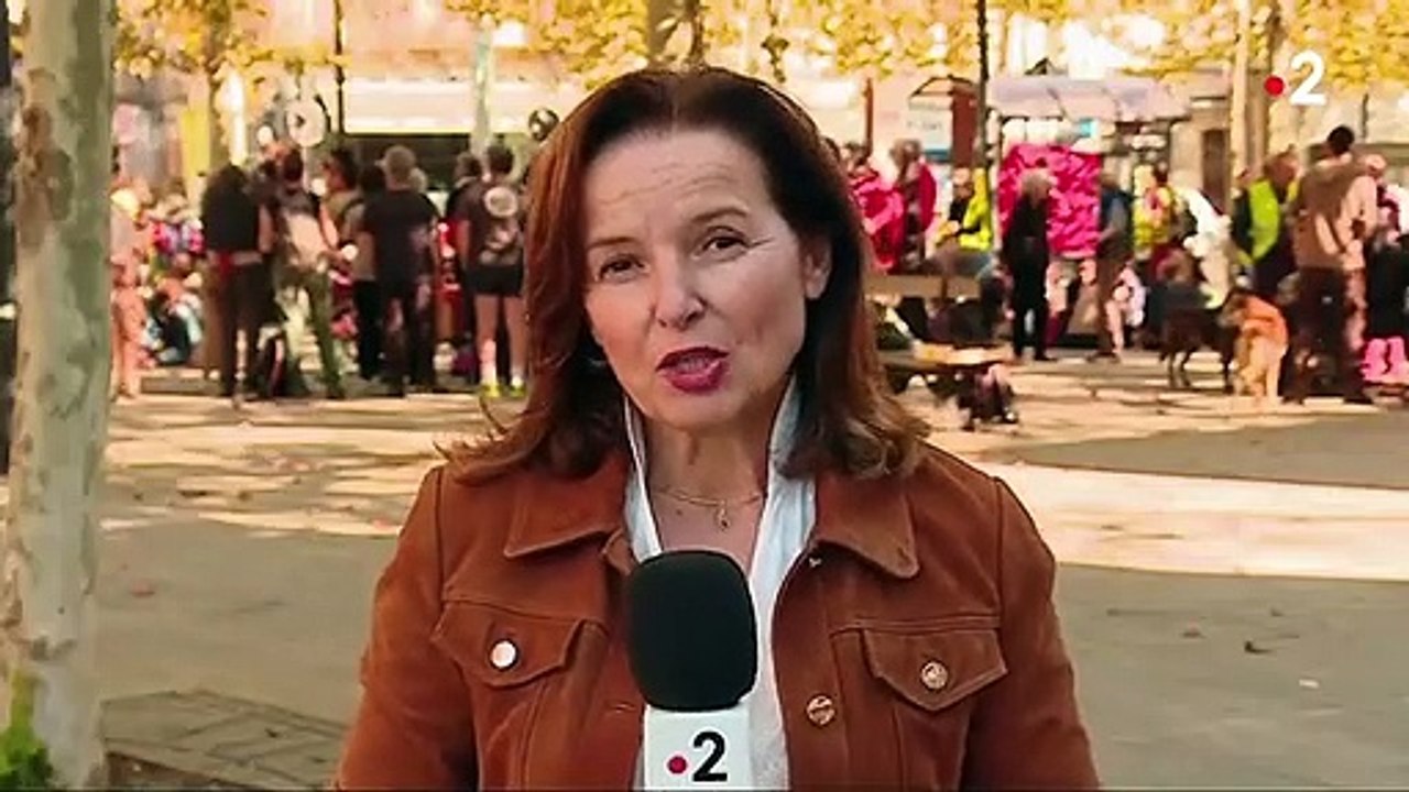 Barrage de Sivens : rassemblement en mémoire de Rémi Fraisse, cinq ans après sa mort