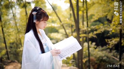 Tik Tok | Quy Khứ Lai Hề - Hoa Chúc | 歸去來兮 - 花粥