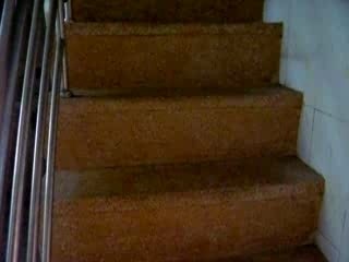 Chambre Robin et 1ère salle de TP