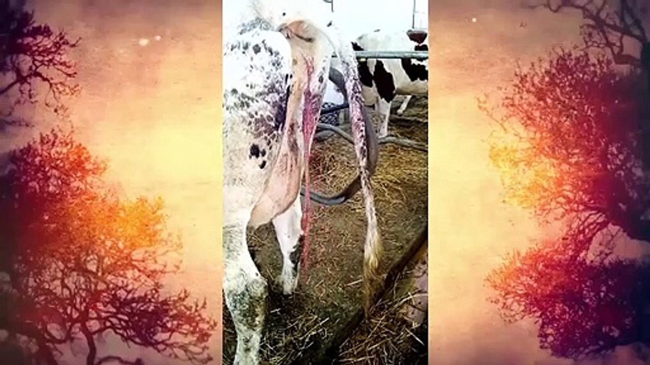 عالم خاص لا يدخله إلا الخبراء