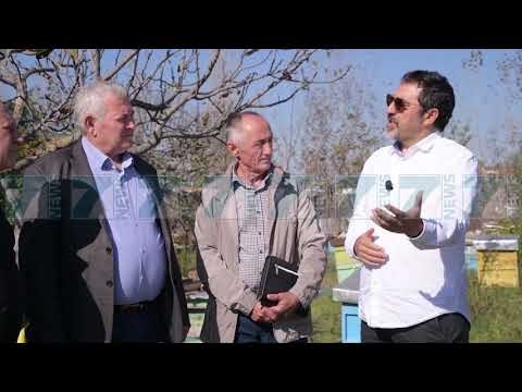 MJALTI SHQIPTAR DREJT KINES, JAVEN TJETER MARREVESHJA - News, Lajme - Kanali 7