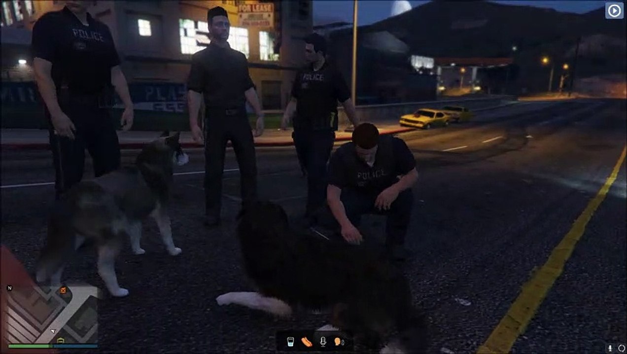 Abby wird überfahren