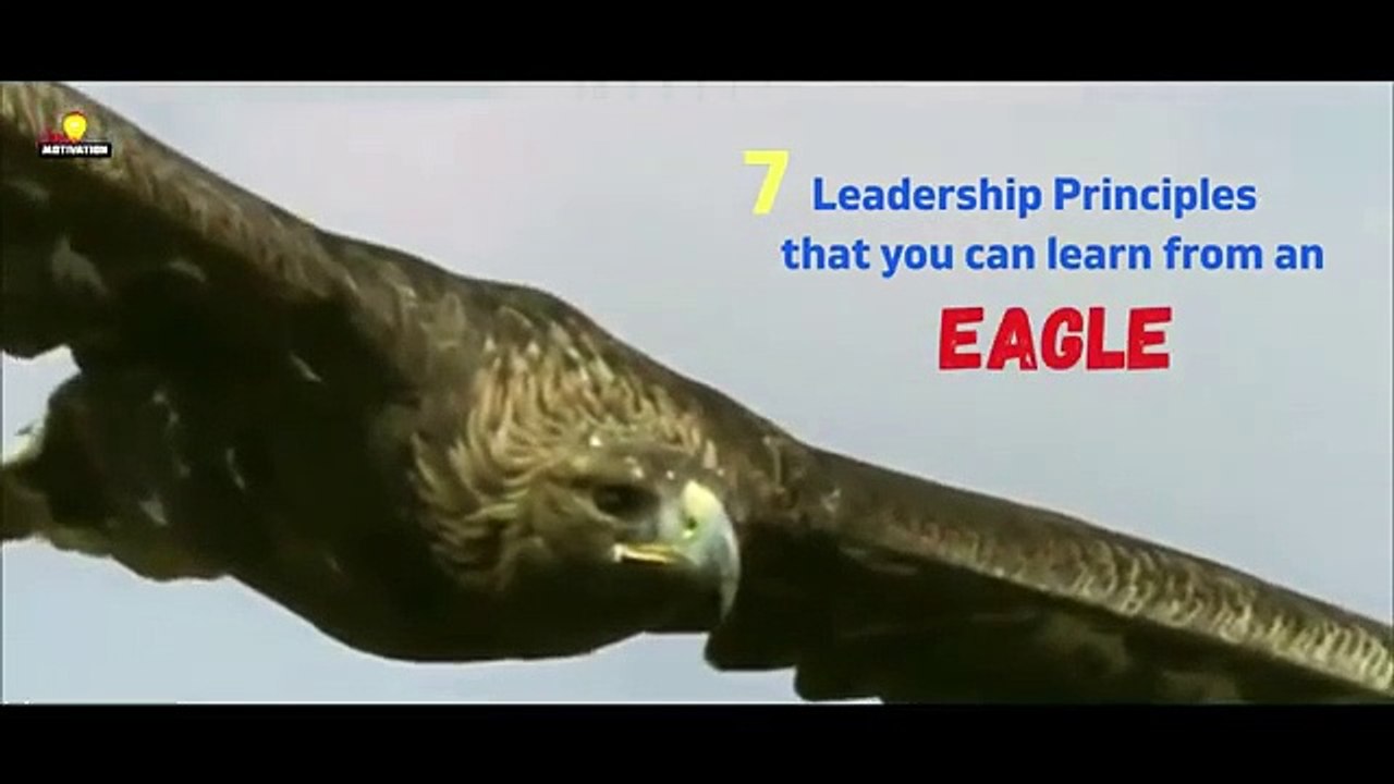 Harvey West Jr.The Story of a Eagle
