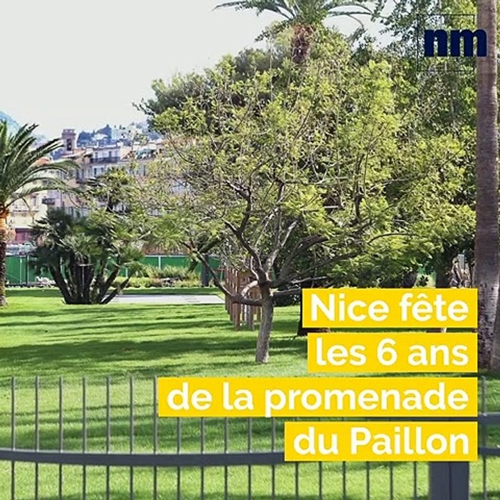 Actes de cruauté, Coulée verte, OGC Nice: voici le brief info de ce lundi après-midi