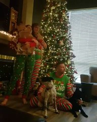 Photo de famille : chiens et chats s'embrouillent !