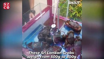 Ünlü restoranda tepki çeken uygulama!