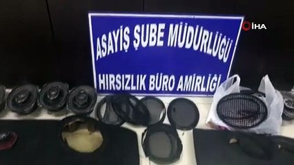 Oto faresi yakalandı