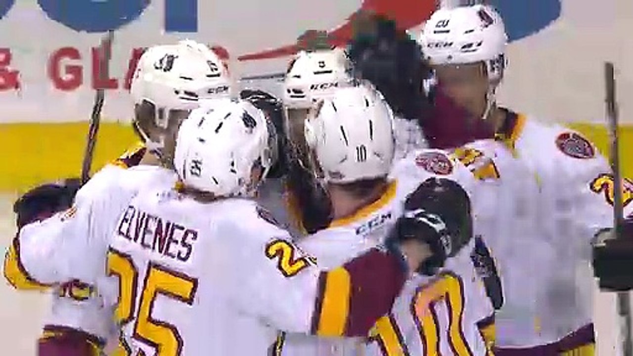 AHL Manitoba Moose (0) at Chicago Wolves (4)