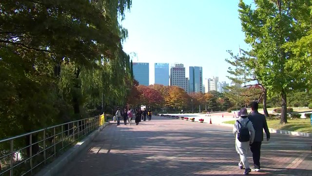 [날씨] 아침기온 최저, 낮에도 서늘...서울 첫서리 / YTN