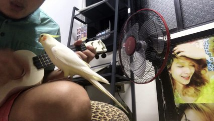 Bird Joins in for Delightful Duet