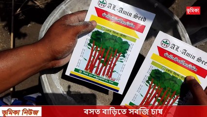 বসত বাড়িতে সবজি চাষ