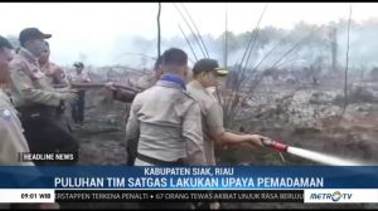 Puluhan Tim Satgas Lakukan Pemadaman Lahan Gambut di Riau