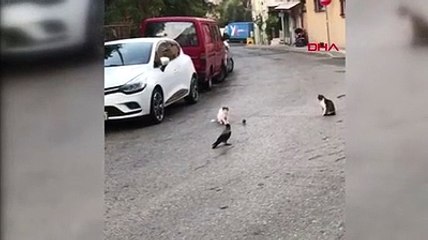 Kedi ve fare oynadı, kargalar seyirci oldu