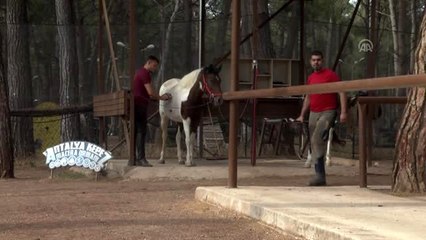 Milyonluk atların nalları Mustafa ustaya emanet