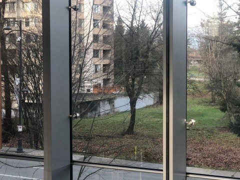 Vous pensez voir une rivière... Cette illusion d'optique rend fou les internautes