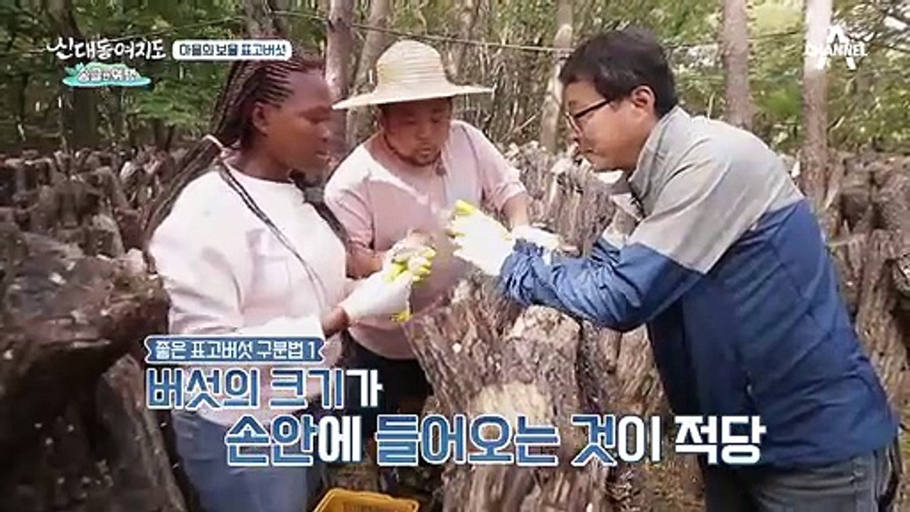 군침이 절로↗↗ 영양 만점 버섯 밥상!