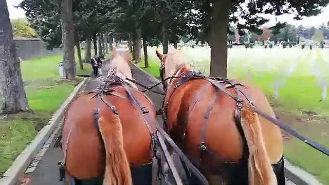 Promenade en calèche dans le cimetière de l'Est à Rennes