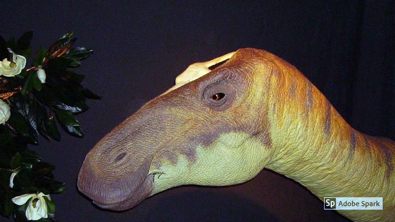 Dinosaur