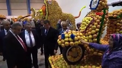 Türkiye'de ilk... Bu bildiğiniz narenciye festivali değil!