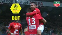 But Paul LASNE (49ème) / Stade Brestois 29 - Dijon FCO - (2-0) - (BREST-DFCO) / 2019-20