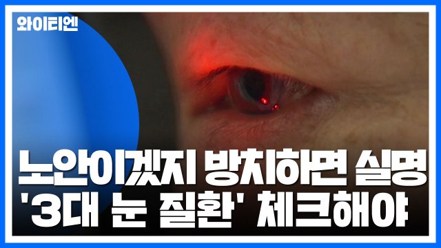 노안이겠지 방치하면 실명 올 수도...정기 검진 필요 / YTN