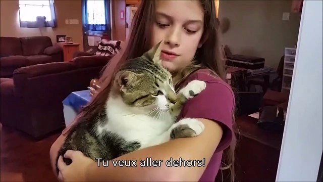 Ce chat déteste aller dehors et le fait comprendre à sa maitresse... Adorable