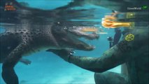 L'expérience incroyable de nager avec des alligators