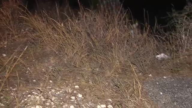 Aparece en una cuneta en Marbella el cadáver tiroteado de un hombre