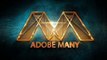 Adobe After Effects Template Magic Logo Animation