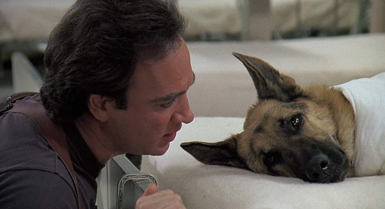 Film E Programmi Tv Di Jim Belushi