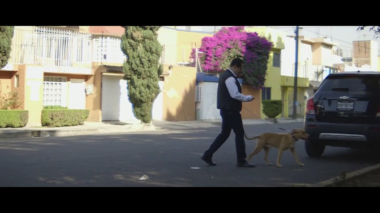 The Devil Told Me What to Do (El Diablo me dijo qué hacer) international theatrical trailer