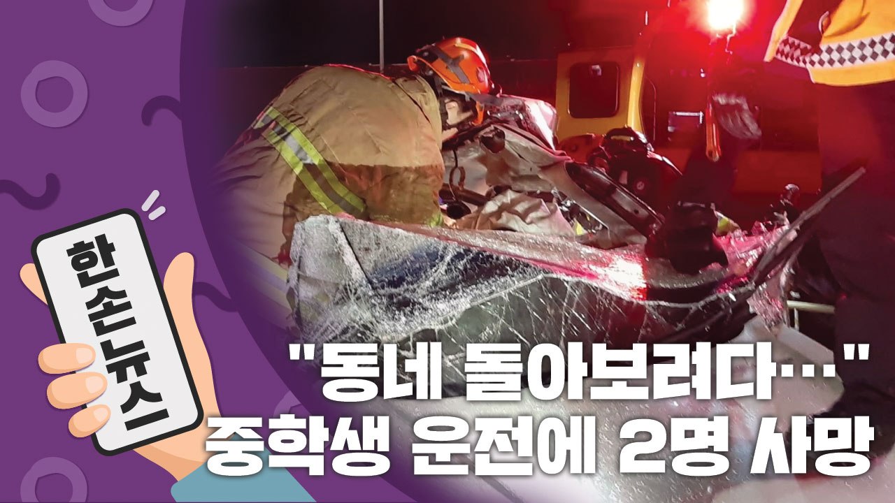 [15초뉴스] "동네 돌아보려다가"...10대 무면허 운전에 2명 사망 / YTN