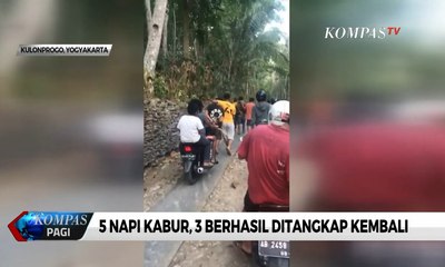 5 Napi Kabur di Yogyakarta, 3 Berhasil Ditangkap Kembali