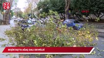 Beşiktaş'ta yol kenarında bulunan bir ağacın dalı koparak yola devrildi