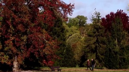 Jardin - En colorama !