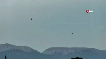 Tunceli'de 1 terörist öldürüldü