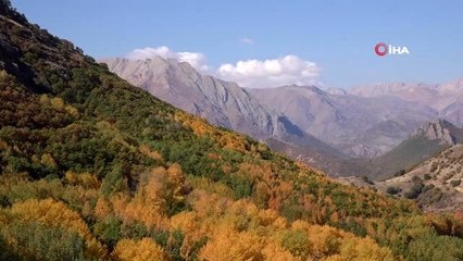 Tunceli'de sonbaharla gelen "Renk Cümbüşü"