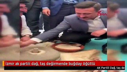 İzmir ak partili dağ, taş değirmende buğday öğüttü