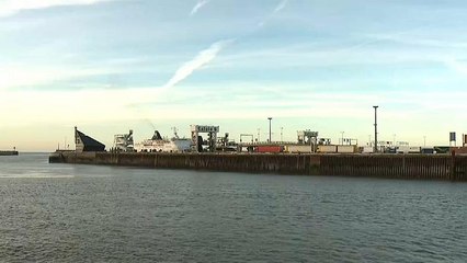 Neue Tragödie verhindert? 8 Migranten aus Kühlcontainer gerettet