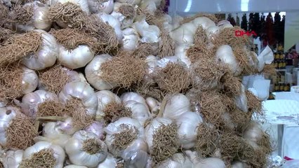 Antalya gramla satılan taşköprü sarımsağı