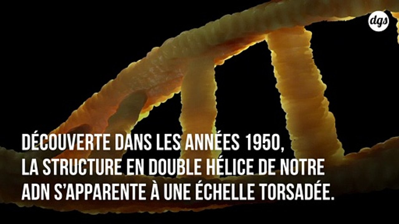 Nouvelle découverte concernant la structure de l'ADN