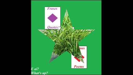 Bought a grass for you, to kill your hunger of jealousy! [Quotes and Poems]