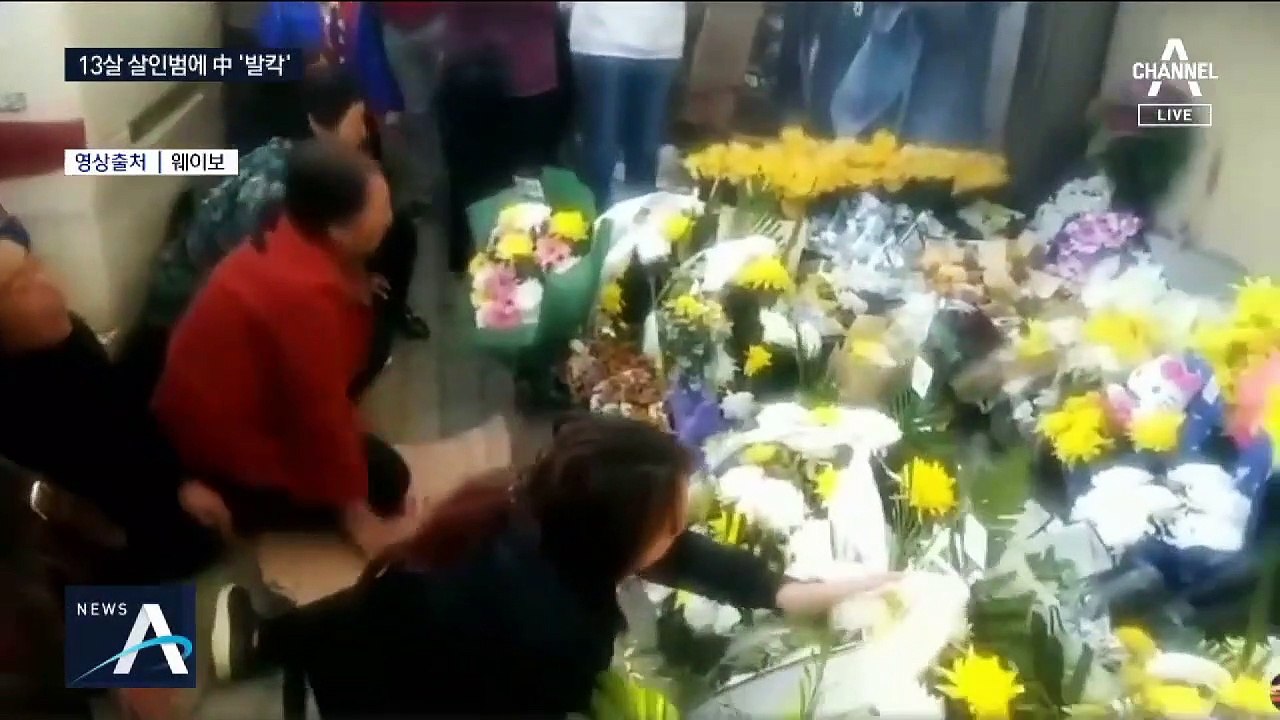 ‘잔혹 살해’ 中 13세 소년, 어린 나이 탓에 3일 뒤 석방