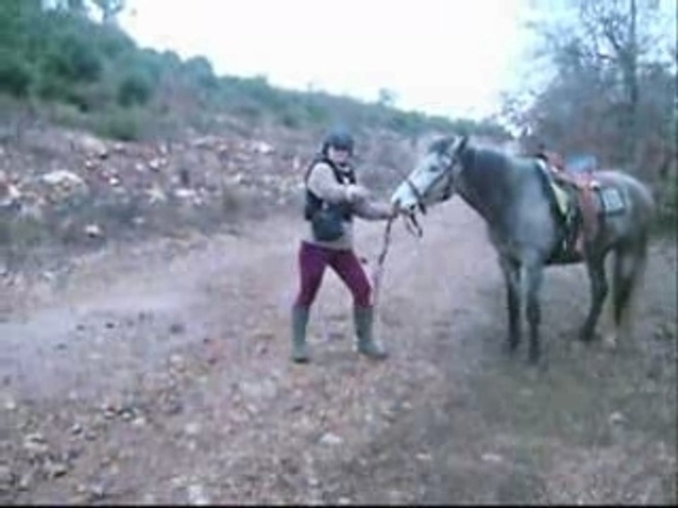 3 février 2008 Concentré de 4 heures