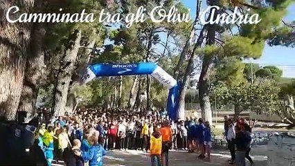 “Camminata tra gli olivi” ad Andria 27 ottobre 2019 - video 1