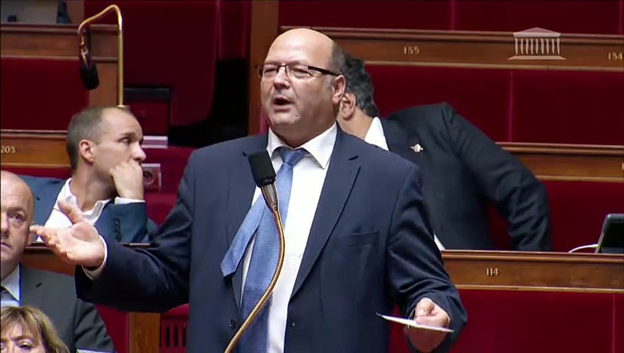 Vercamer avis rapporteur