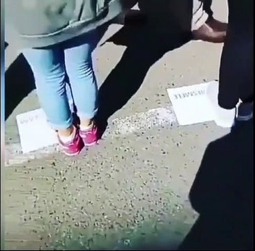 Tepki çeken görüntülere Bakanlık’tan soruşturma! İnceleme başlatıldı