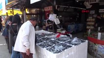 Düzce'de hamsinin kilosu 5 liraya düştü