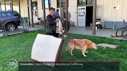 Incendies en Californie : l'état d'urgence décrété, 180 000 personnes évacuées