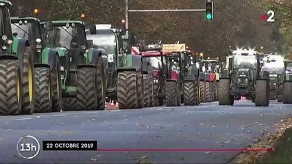 Allemagne : mobilisation nationale des agriculteurs